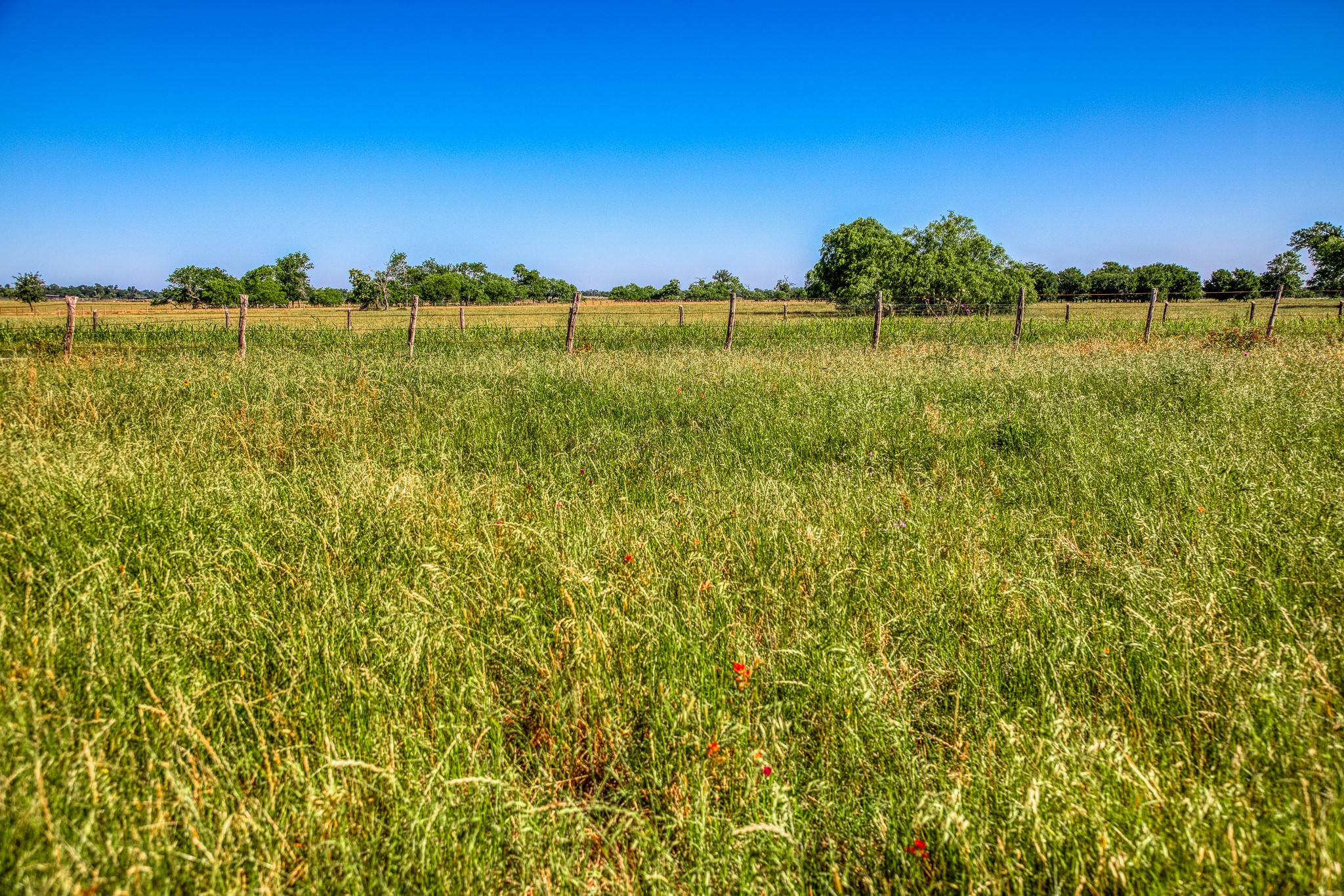 0 Flat Prairie Road Washington, TX 77880 - Photo 12 of 19