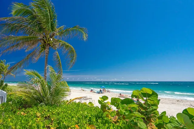 $3,500 | 4250 Galt Ocean Drive, Unit 12N, Fort Lauderdale, FL 33308