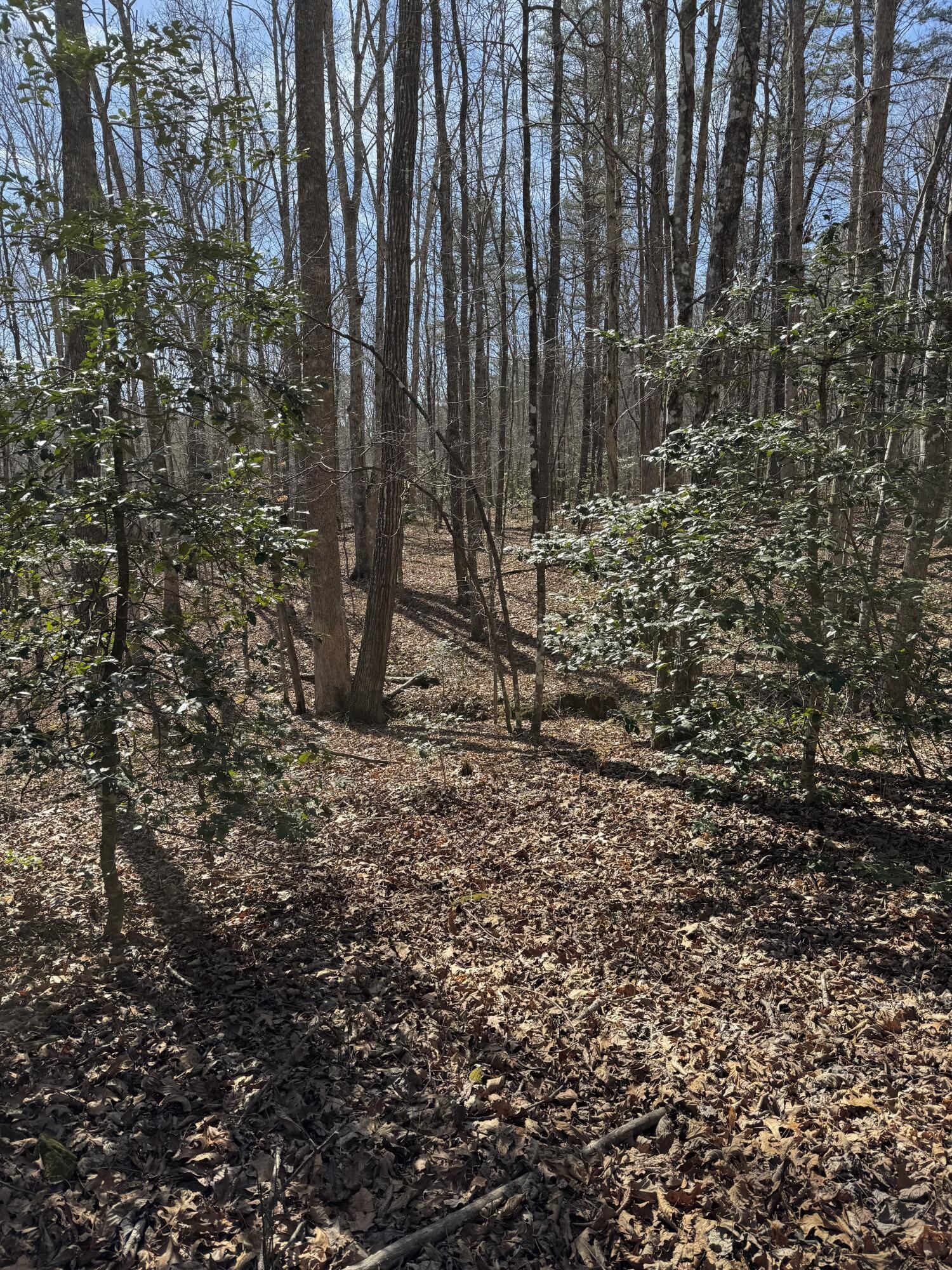 0 Cane Creek Road, Unit 44 Dunlap, TN 37327 - Photo 24 of 31 IMG_6711