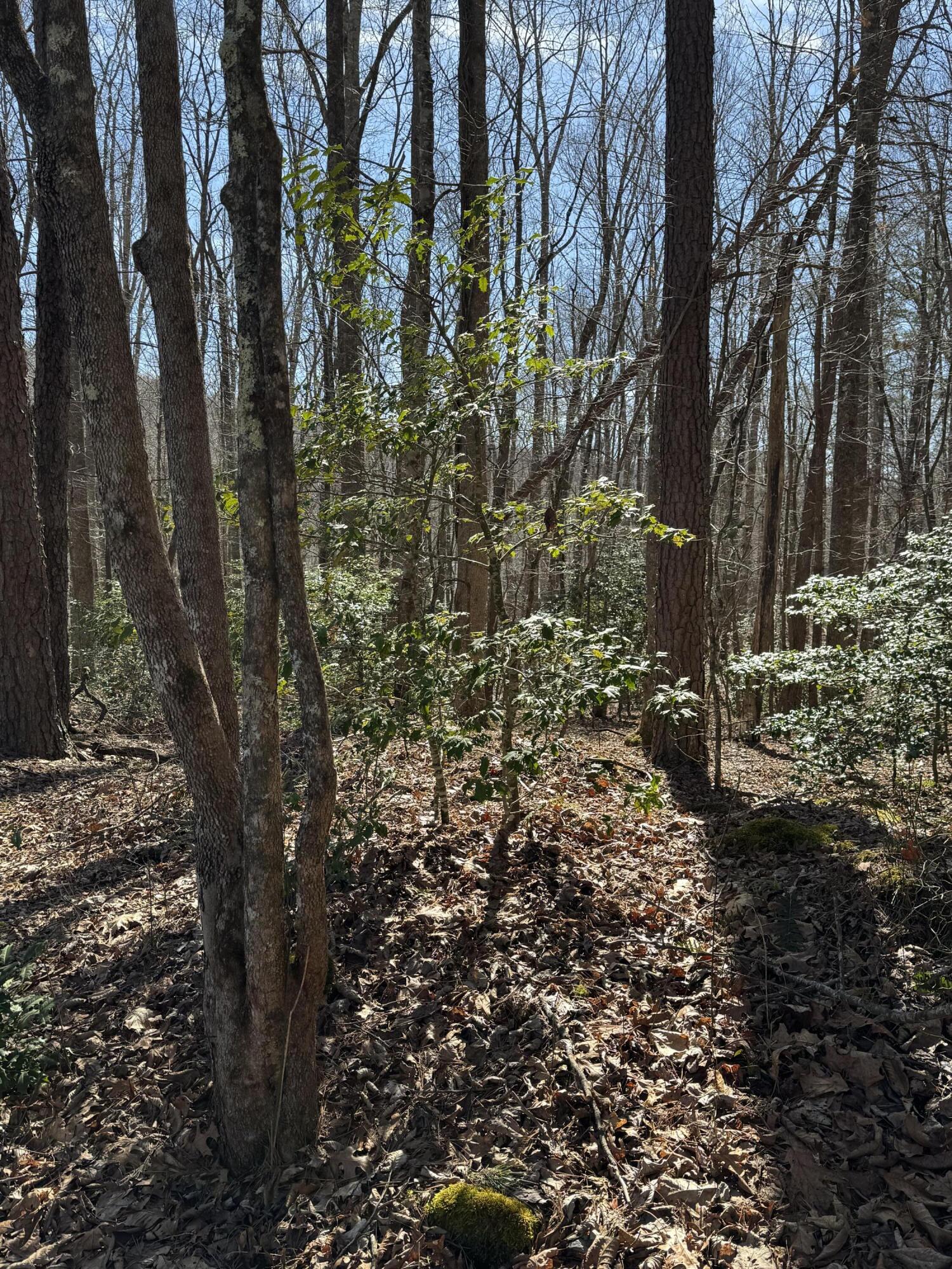 0 Cane Creek Road, Unit 44 Dunlap, TN 37327 - Photo 25 of 31 IMG_6723