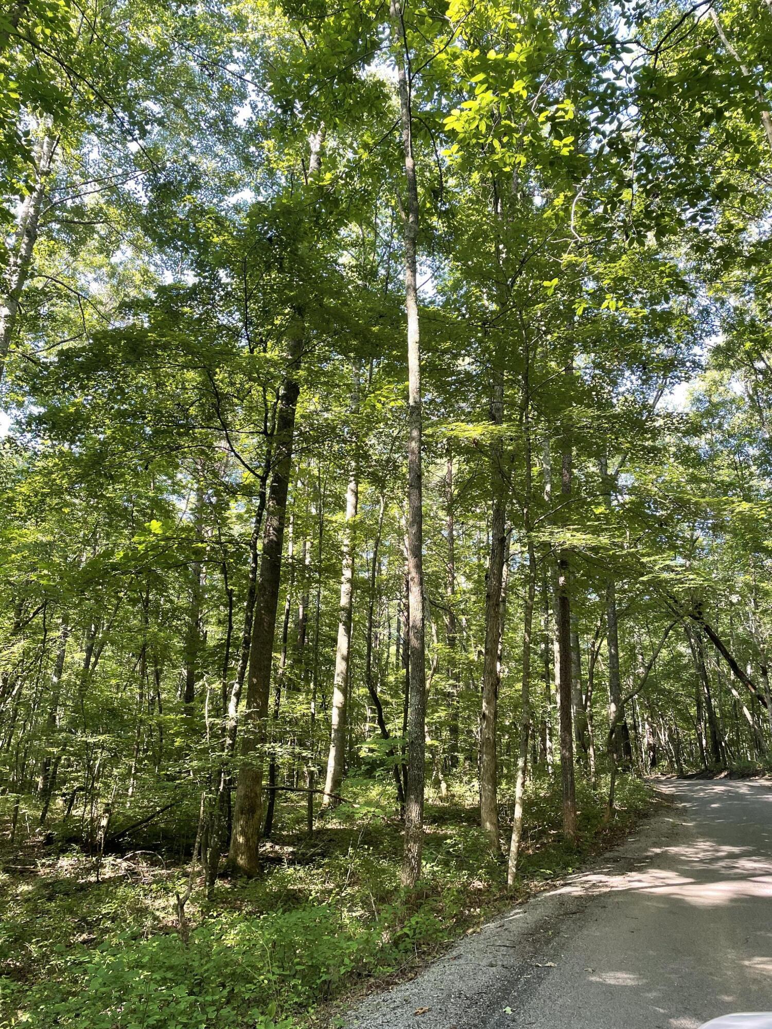 0 Cane Creek Road, Unit 44 Dunlap, TN 37327 - Photo 27 of 31 IMG_7413