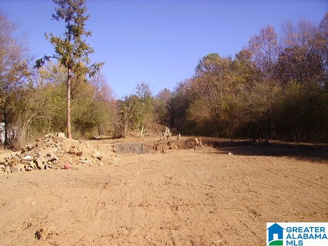 3338 Warrior River Road, Unit RESIDENTIAL OR COMMERCIAL Bessemer, AL 35023 - Photo 3 of 3 Gallery Image 3