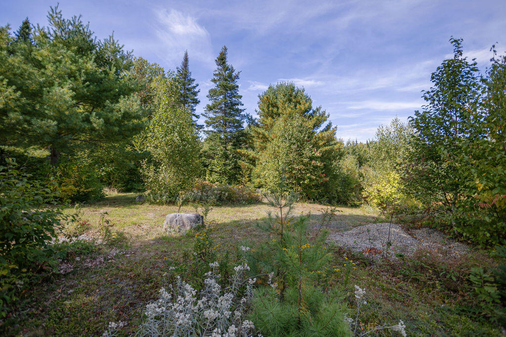 182 Airport Road Phillips, ME 04966 - Photo 40 of 49 taylor-kaminsky-photo-51