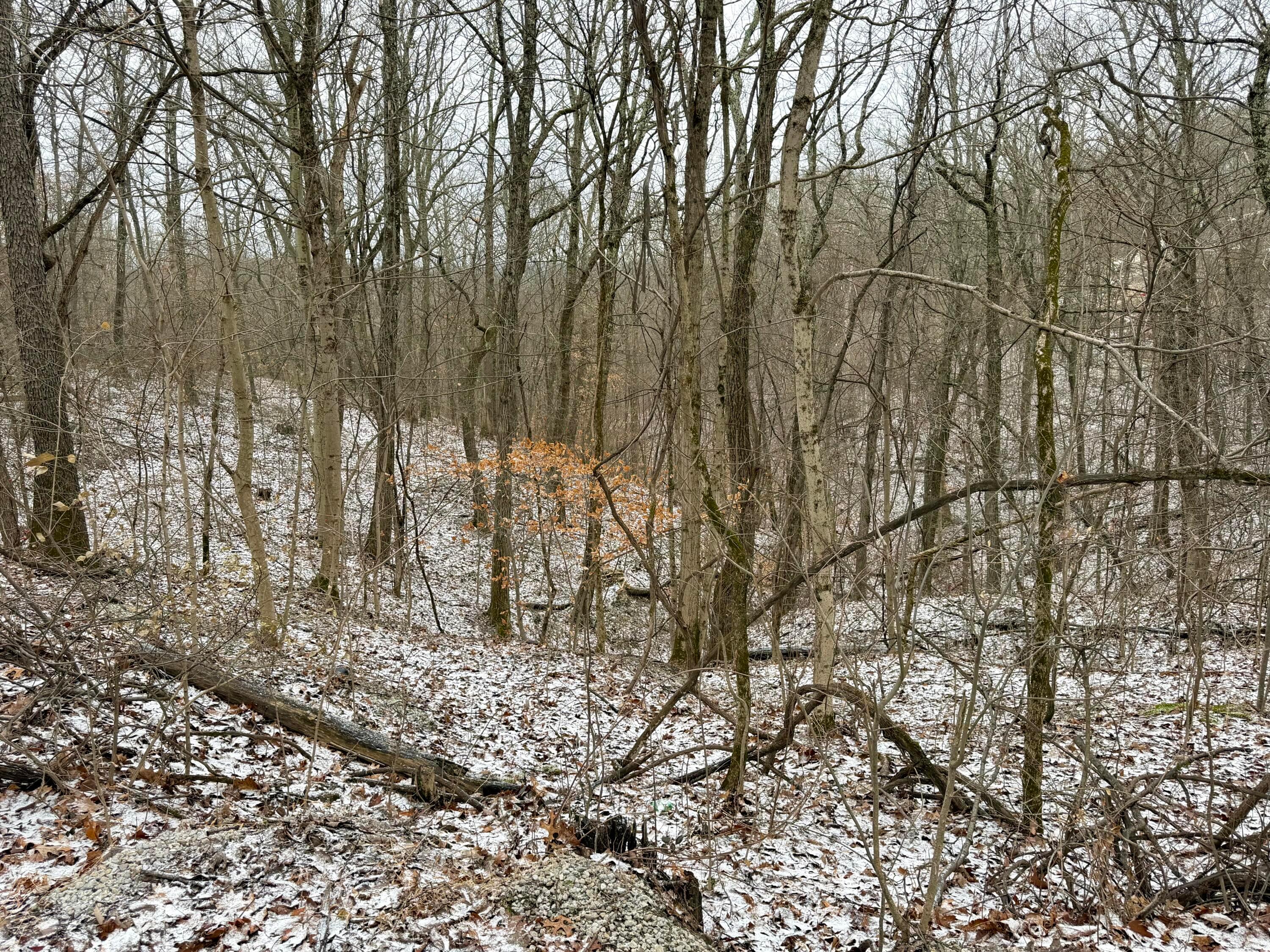 0 Sealover Hollow Road Philo, OH 43771 - Photo 24 of 26 IMG_1974