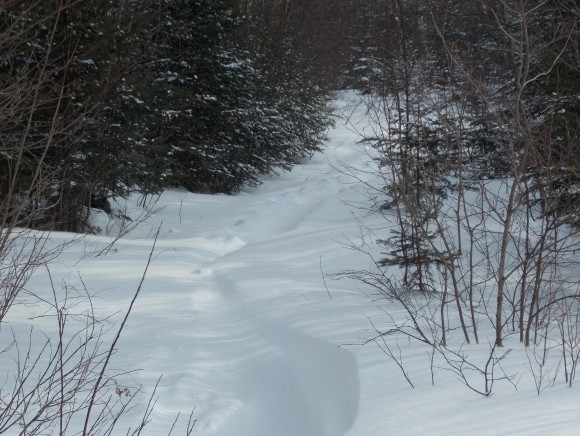 1114 Madbrook Road Orleans, VT 05860 - Photo 40 of 40