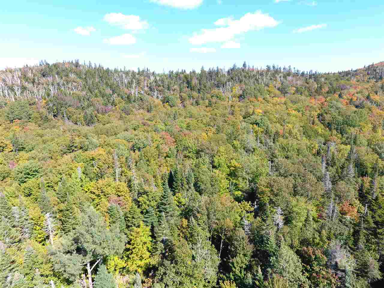 1114 Madbrook Road Orleans, VT 05860 - Photo 7 of 40