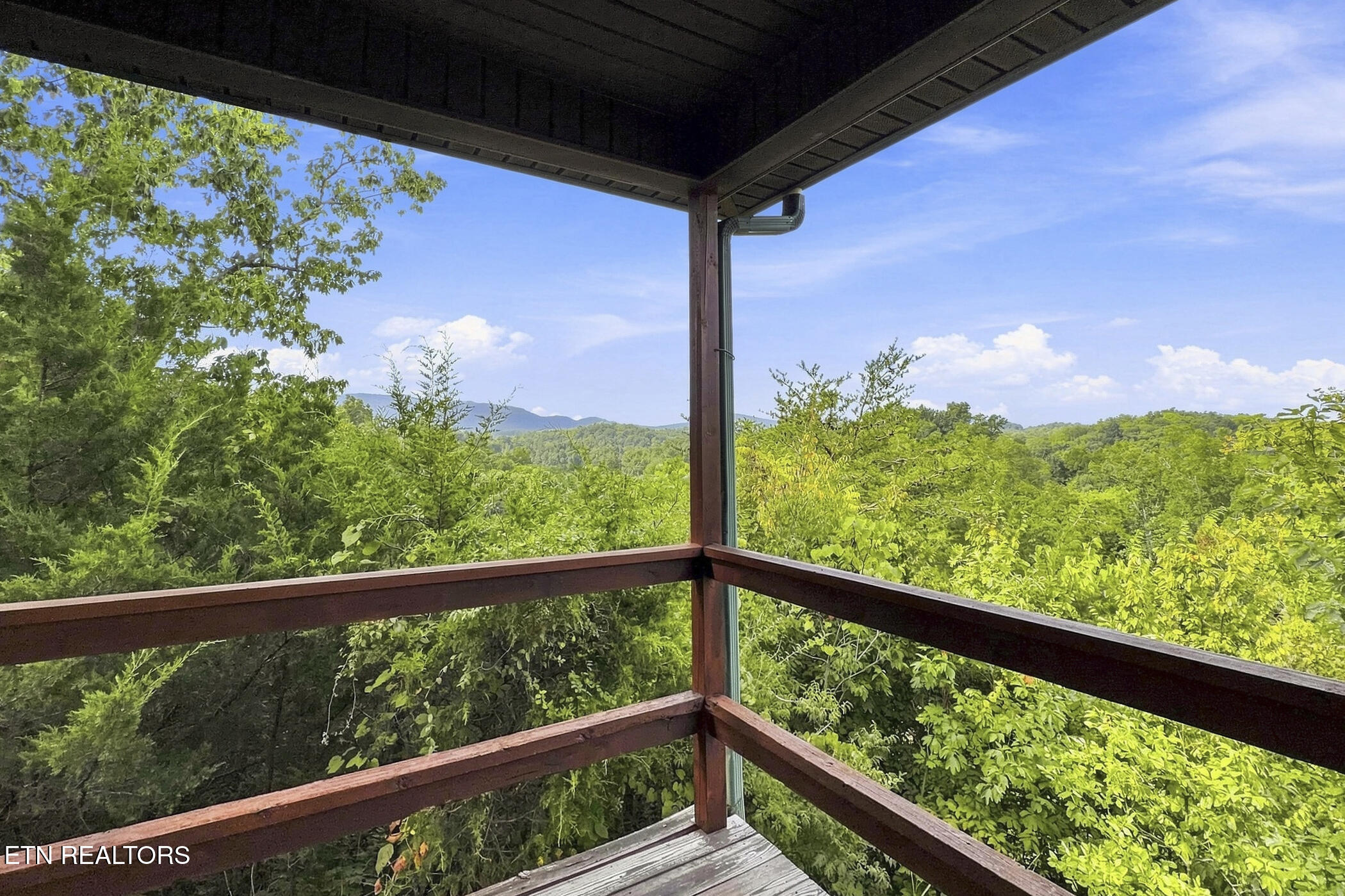 3490 Caywood Road Dandridge, TN 37725 - Photo 43 of 47 img_7021