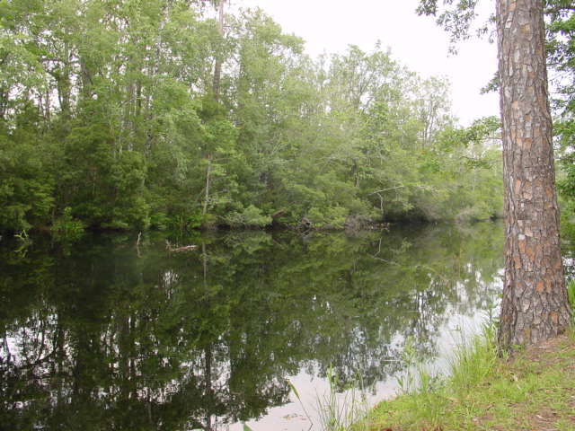 0 Goodwin Creek Road Freeport, FL 32439 - Photo 1 of 1 Gallery Image 1