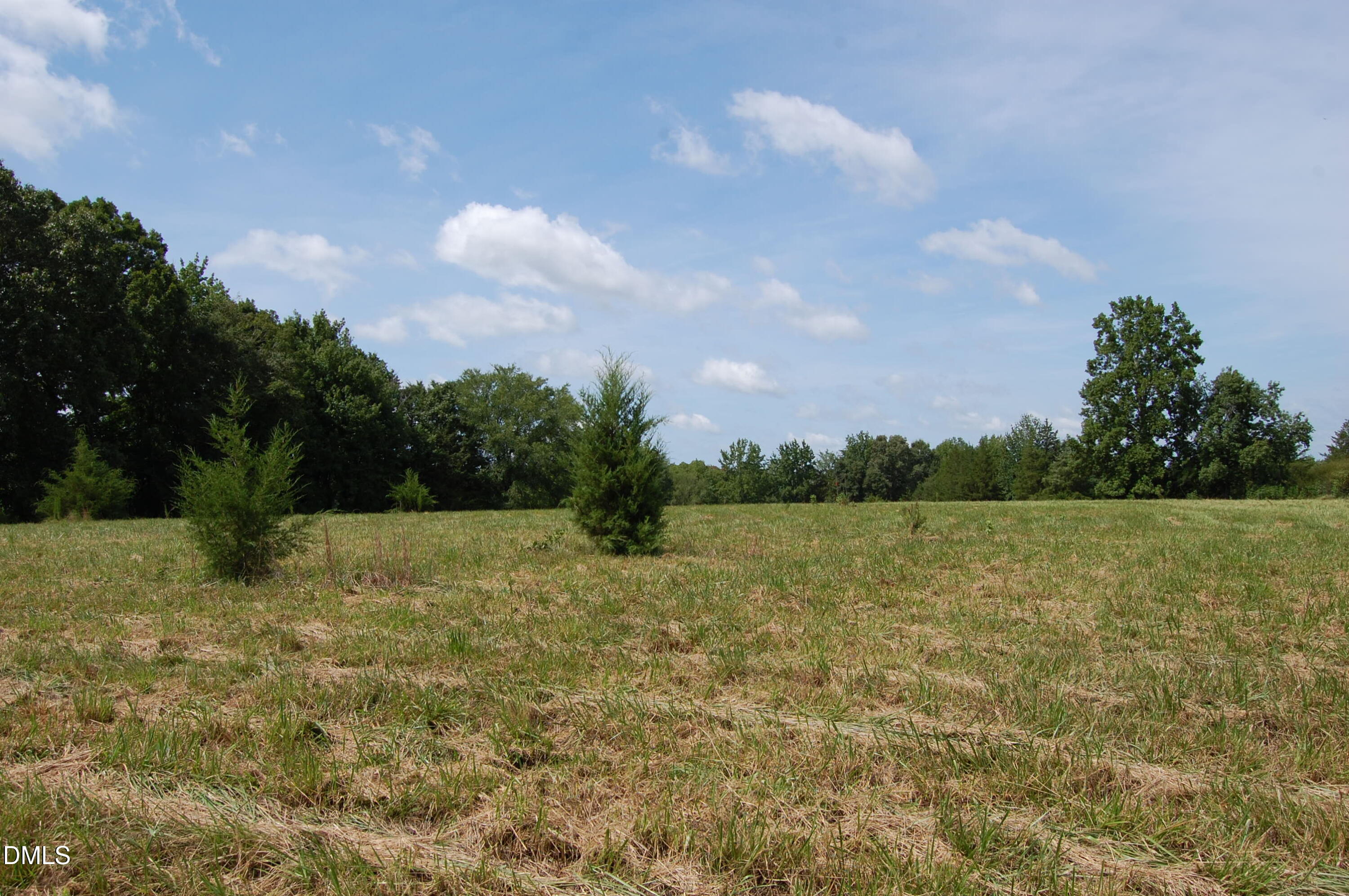 a view of a yard with an trees