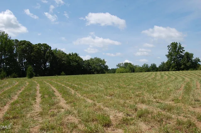a view of a big yard with large trees