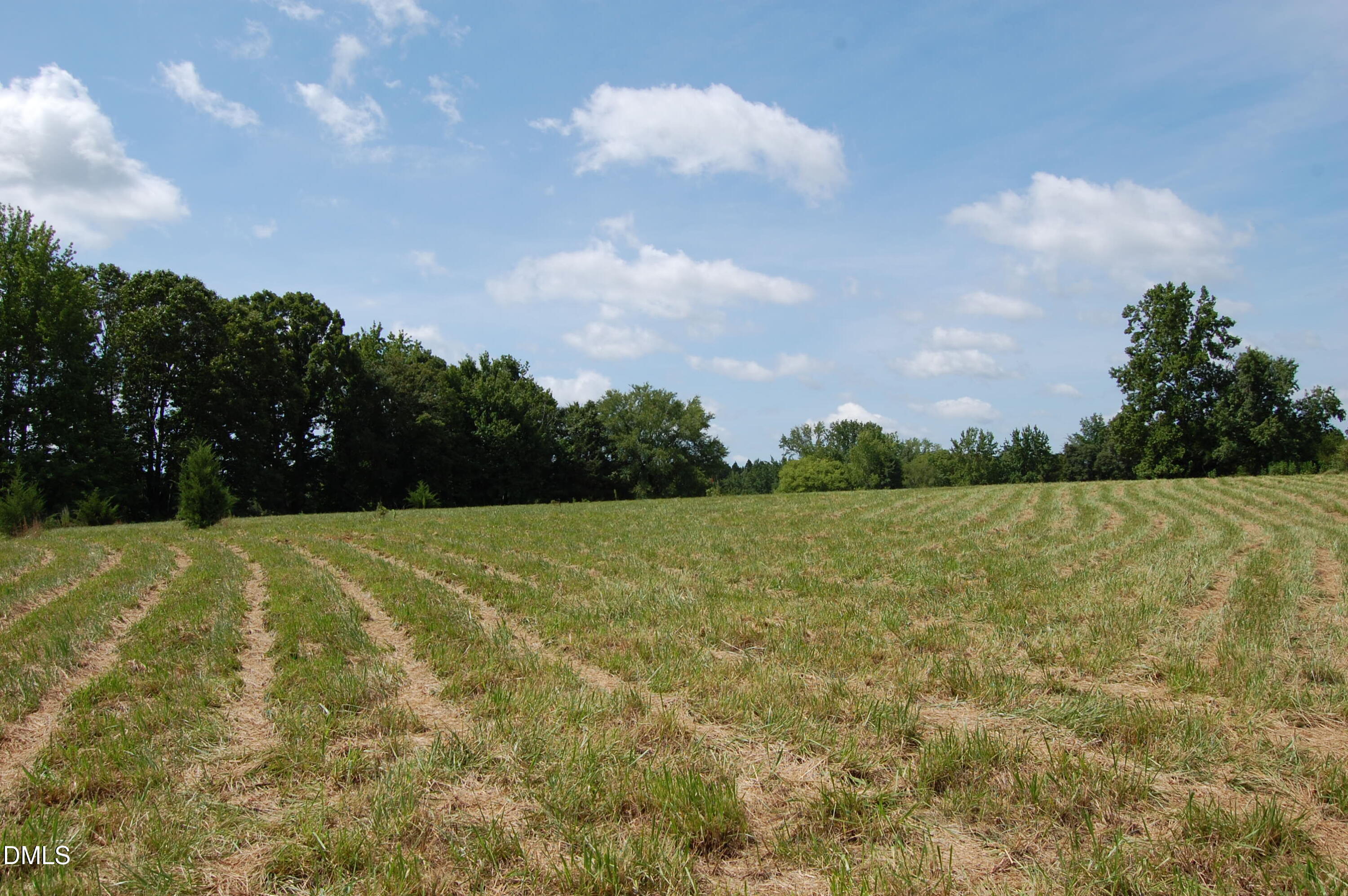 1 Keeton Road Bullock, NC 27507 - Photo 3 of 6 a view of a big yard with large trees