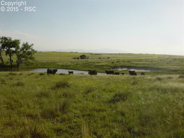 1 South Log Road Peyton, CO 80831 - Photo 4 of 25