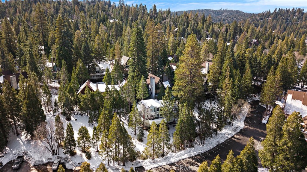 180 Grass Valley Road, Unit 20 Lake Arrowhead, CA 92352 - Photo 59 of 67