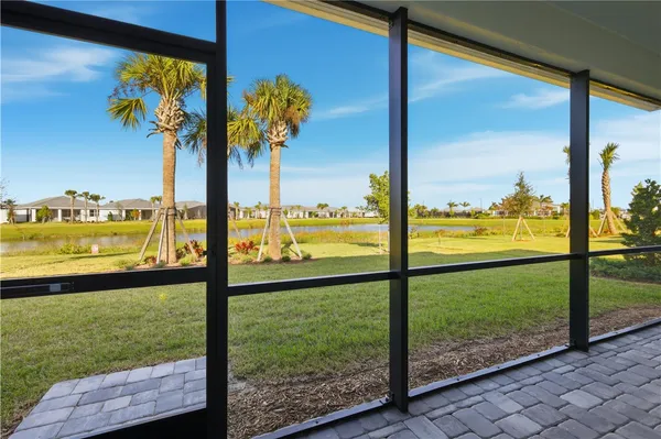 a view of a garden from a window