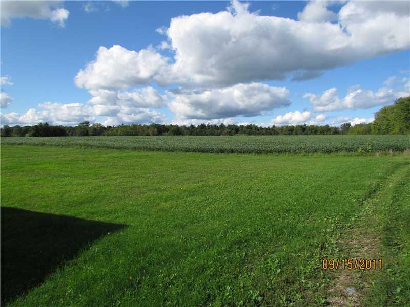 529 Kinsman Road Jamestown, PA 16134 - Photo 4 of 17 Land.