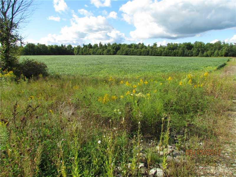 529 Kinsman Road Jamestown, PA 16134 - Photo 5 of 17 Land.