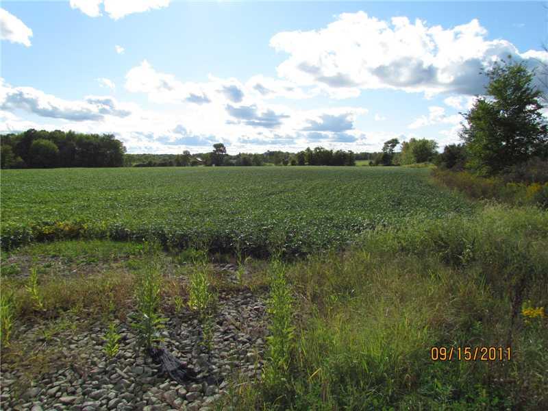529 Kinsman Road Jamestown, PA 16134 - Photo 7 of 17 Land.