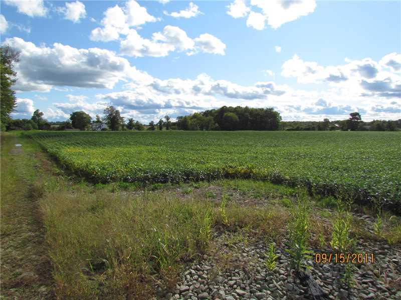 529 Kinsman Road Jamestown, PA 16134 - Photo 8 of 17 Land.