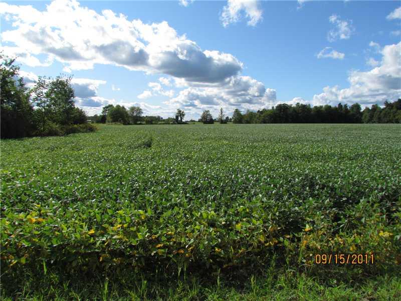 529 Kinsman Road Jamestown, PA 16134 - Photo 9 of 17 Land.