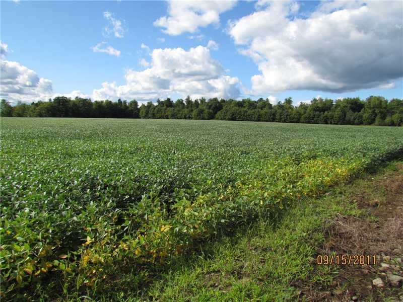 529 Kinsman Road Jamestown, PA 16134 - Photo 10 of 17 Land.