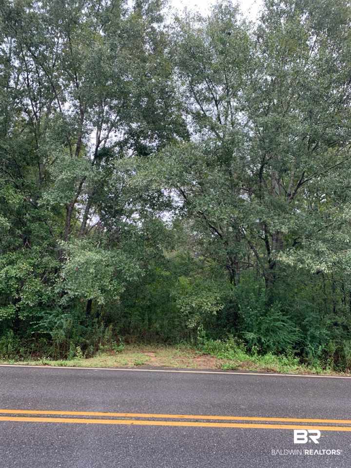 21260 County Road 49 Silverhill, AL 36576 - Photo 1 of 2