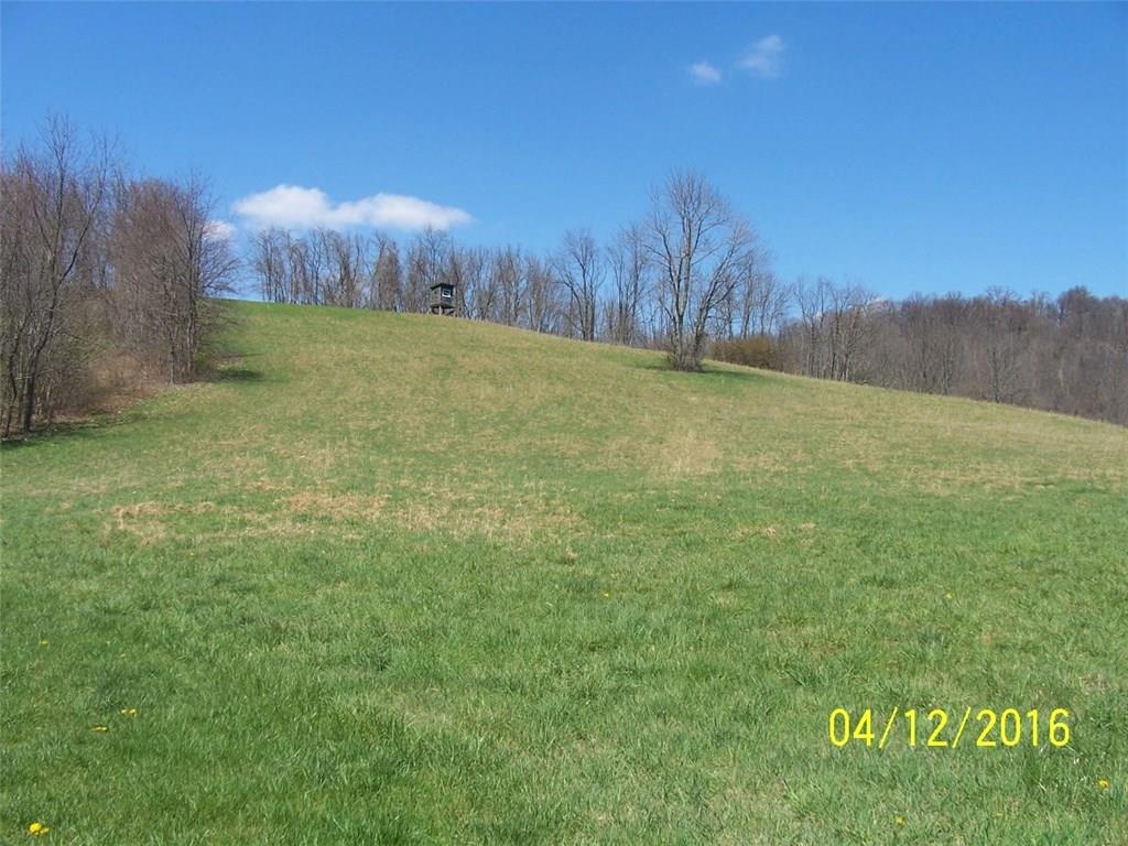 331 Yeager Road Spraggs, PA 15362 - Photo 5 of 15