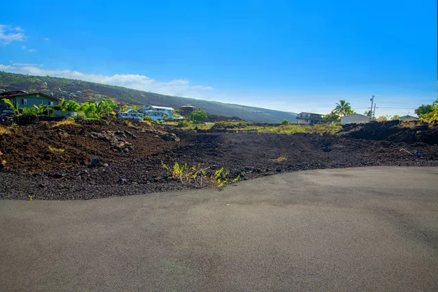 a big yard with lots of green space