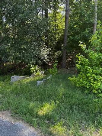 $75,000 | 64 65 70, Onalaska, TX 77360