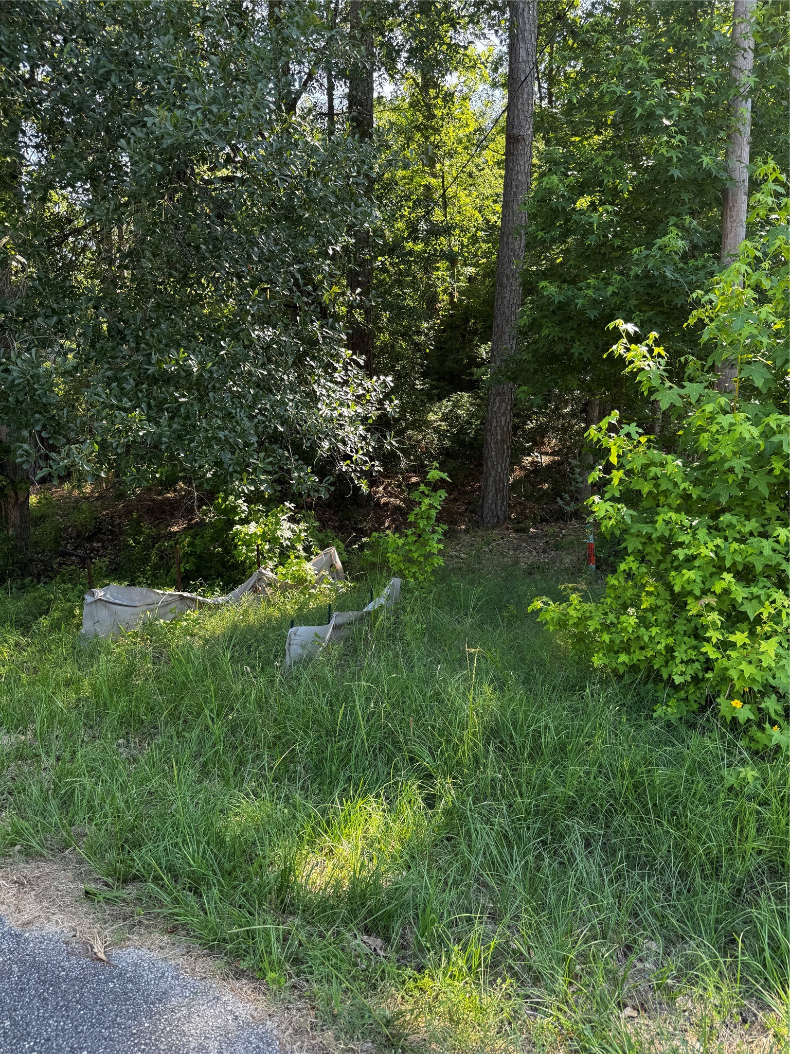 64 65 70 Onalaska, TX 77360 - Photo 13 of 27