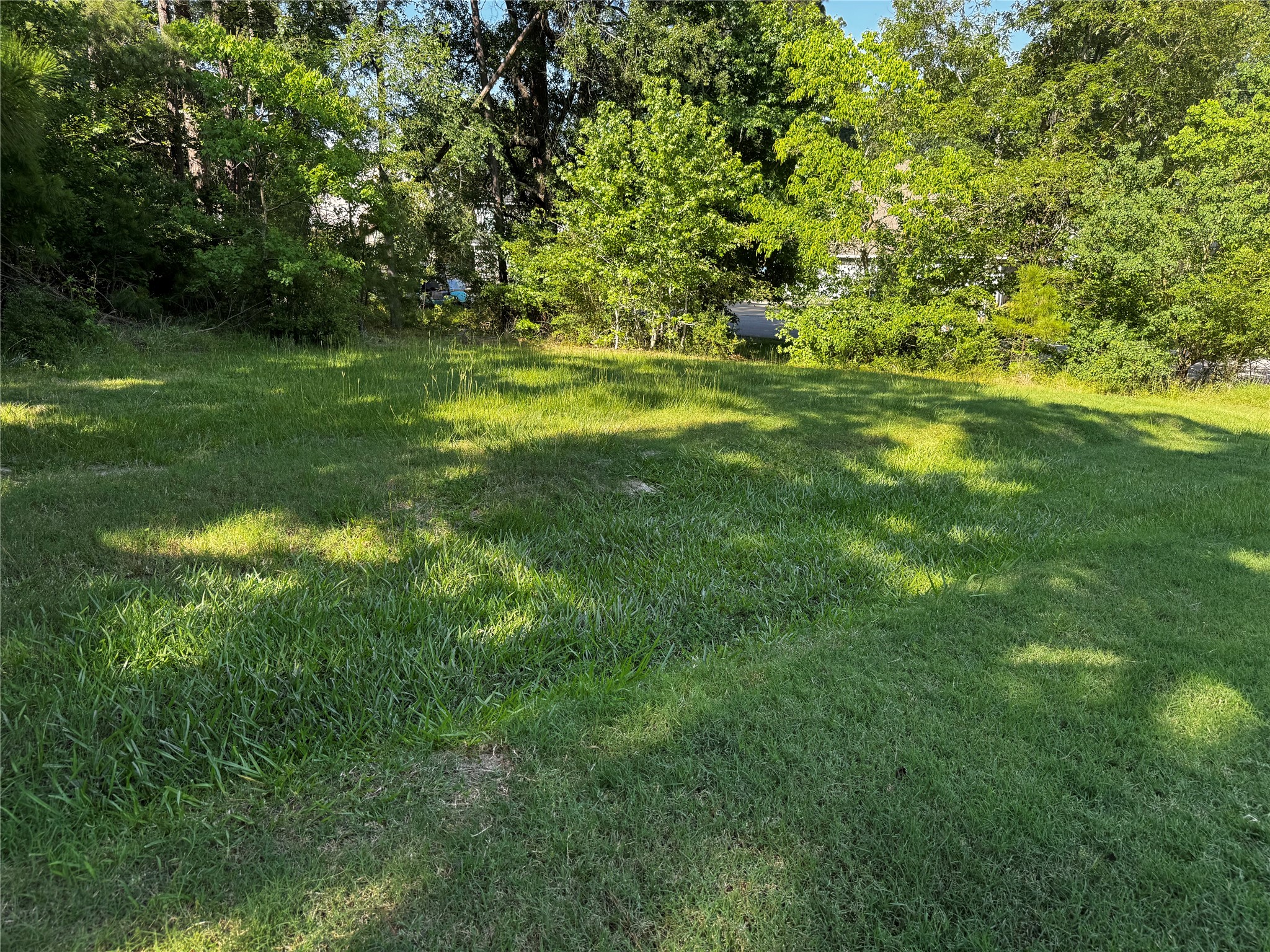 64 65 70 Onalaska, TX 77360 - Photo 3 of 27 partially clear lot