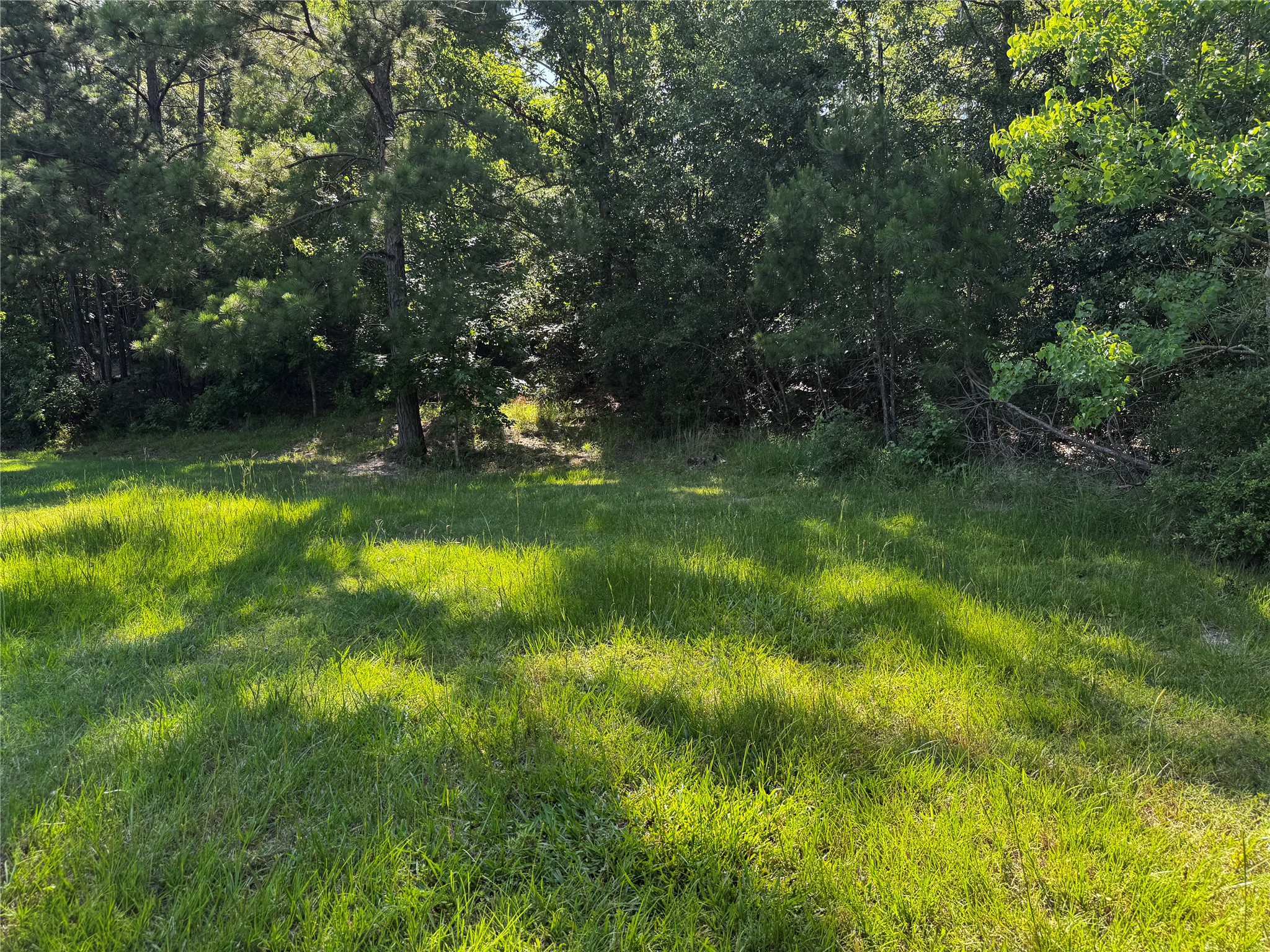 64 65 70 Onalaska, TX 77360 - Photo 4 of 27 partially clear lot