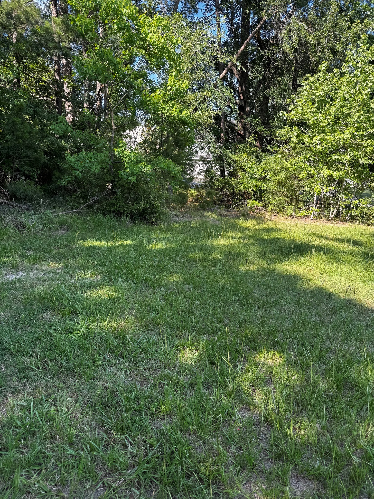 64 65 70 Onalaska, TX 77360 - Photo 5 of 27 partially clear lot