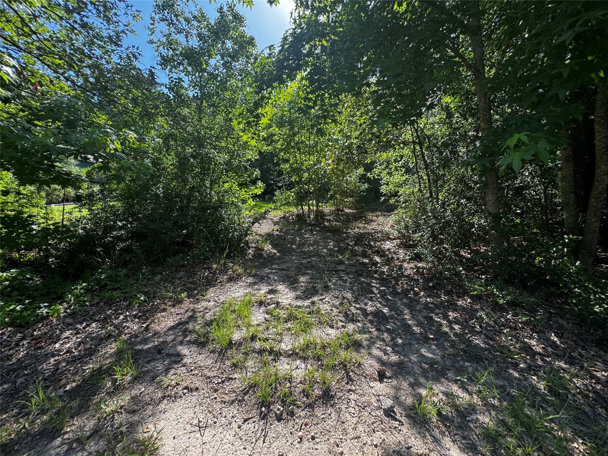64 65 70 Onalaska, TX 77360 - Photo 6 of 27 culvert