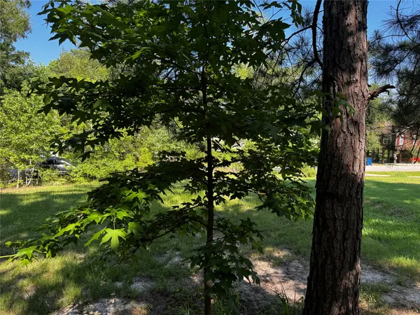 $75,000 | 64 65 70, Onalaska, TX 77360