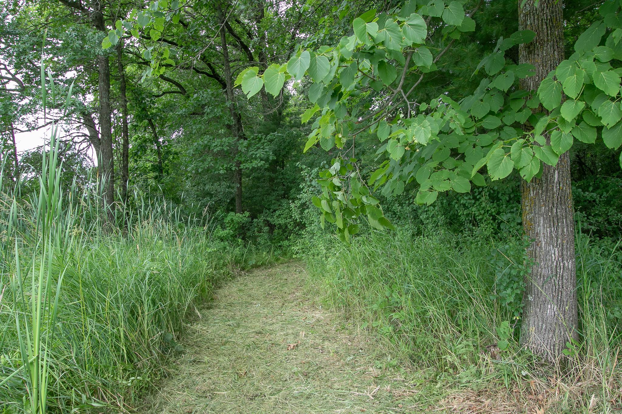 37306 Fjeldheim Road Northeast Stanchfield, MN 55080 - Photo 24 of 46