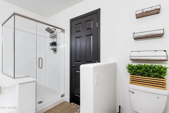 a bathroom with a shower and a window