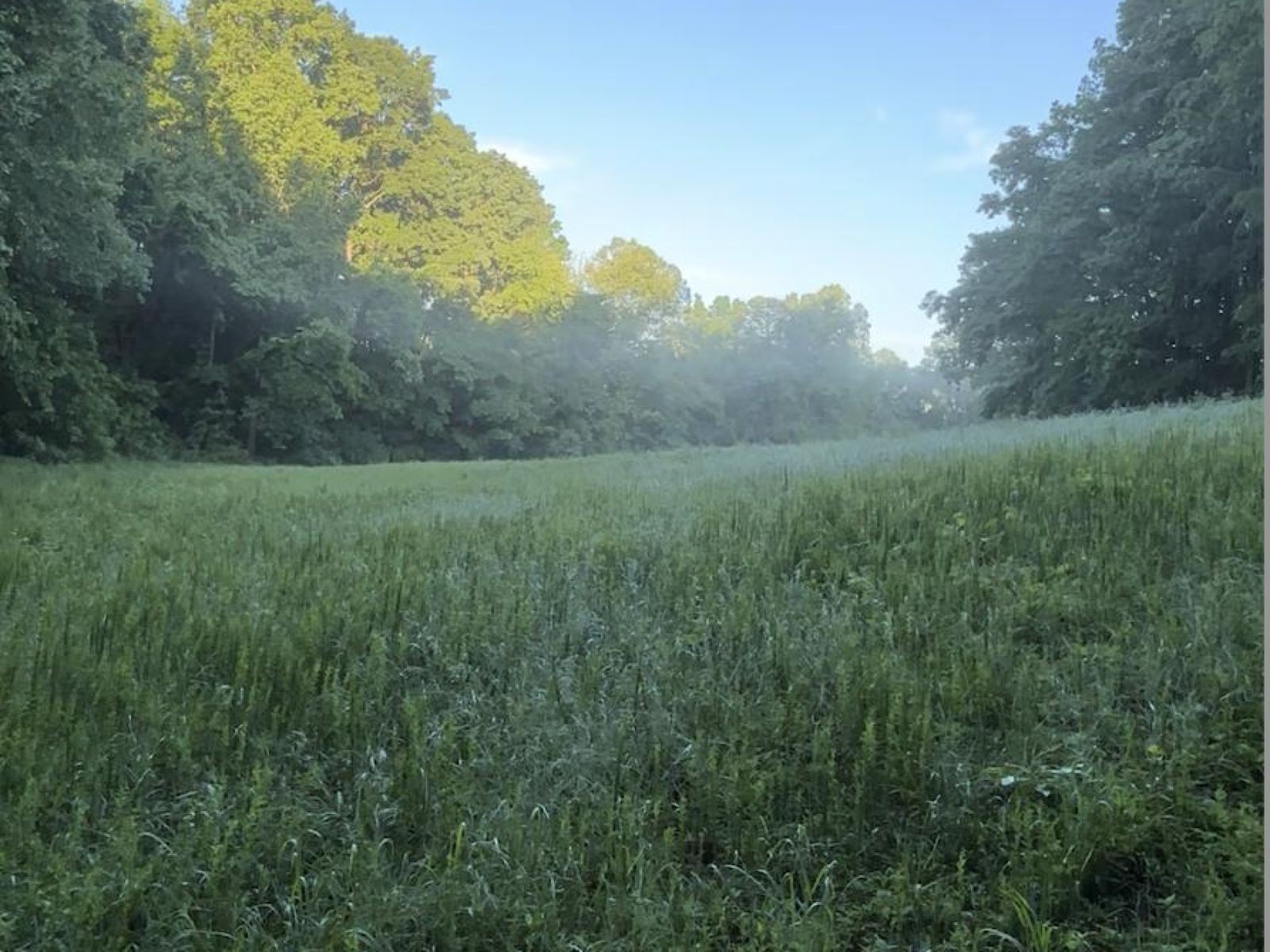 589 Hayes Ridge Road Indian Mound, TN 37079 - Photo 14 of 15 Gallery Image 14