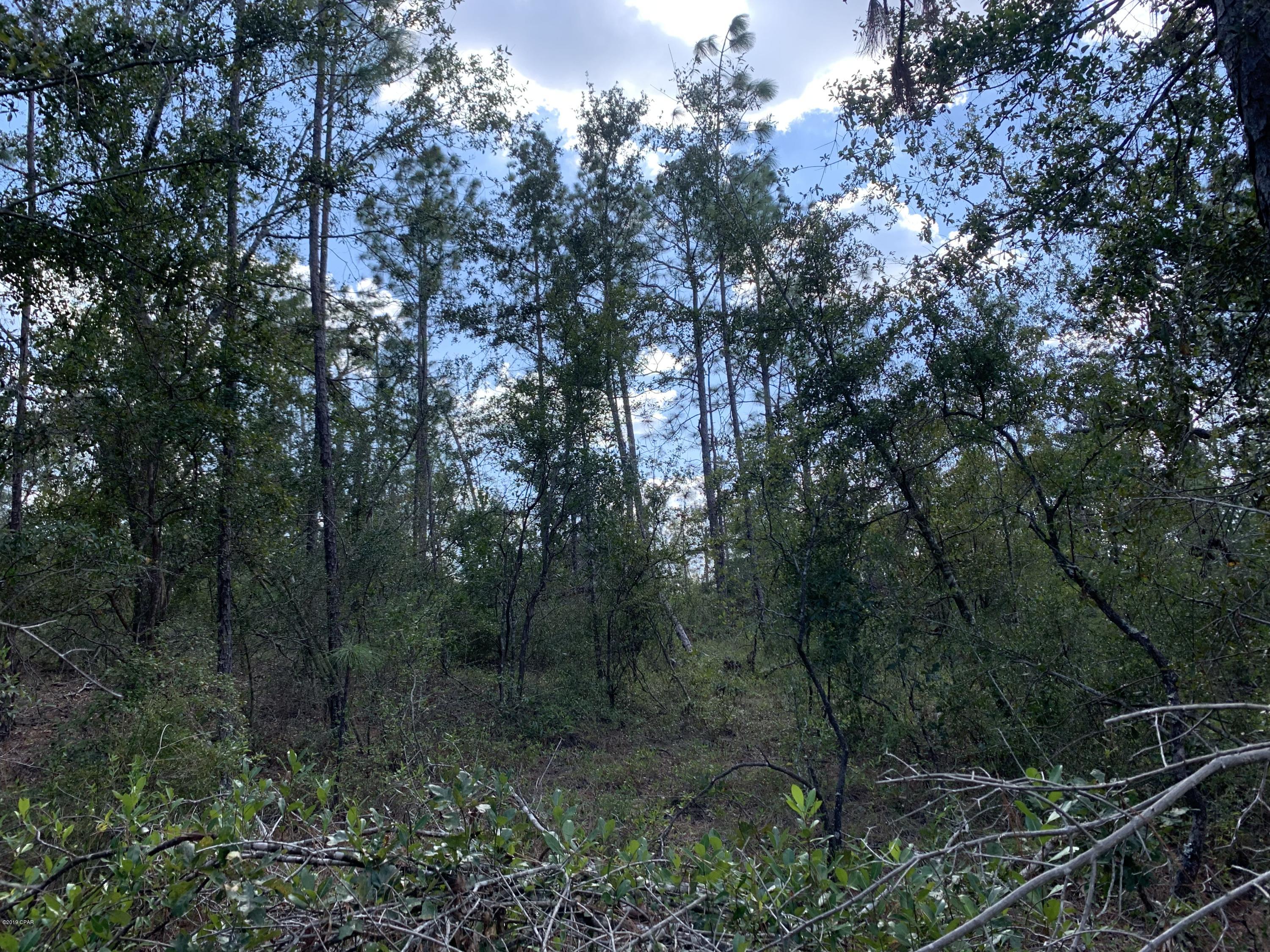 0 Pitts Road Fountain, FL 32438 - Photo 21 of 21 Gallery Image 21