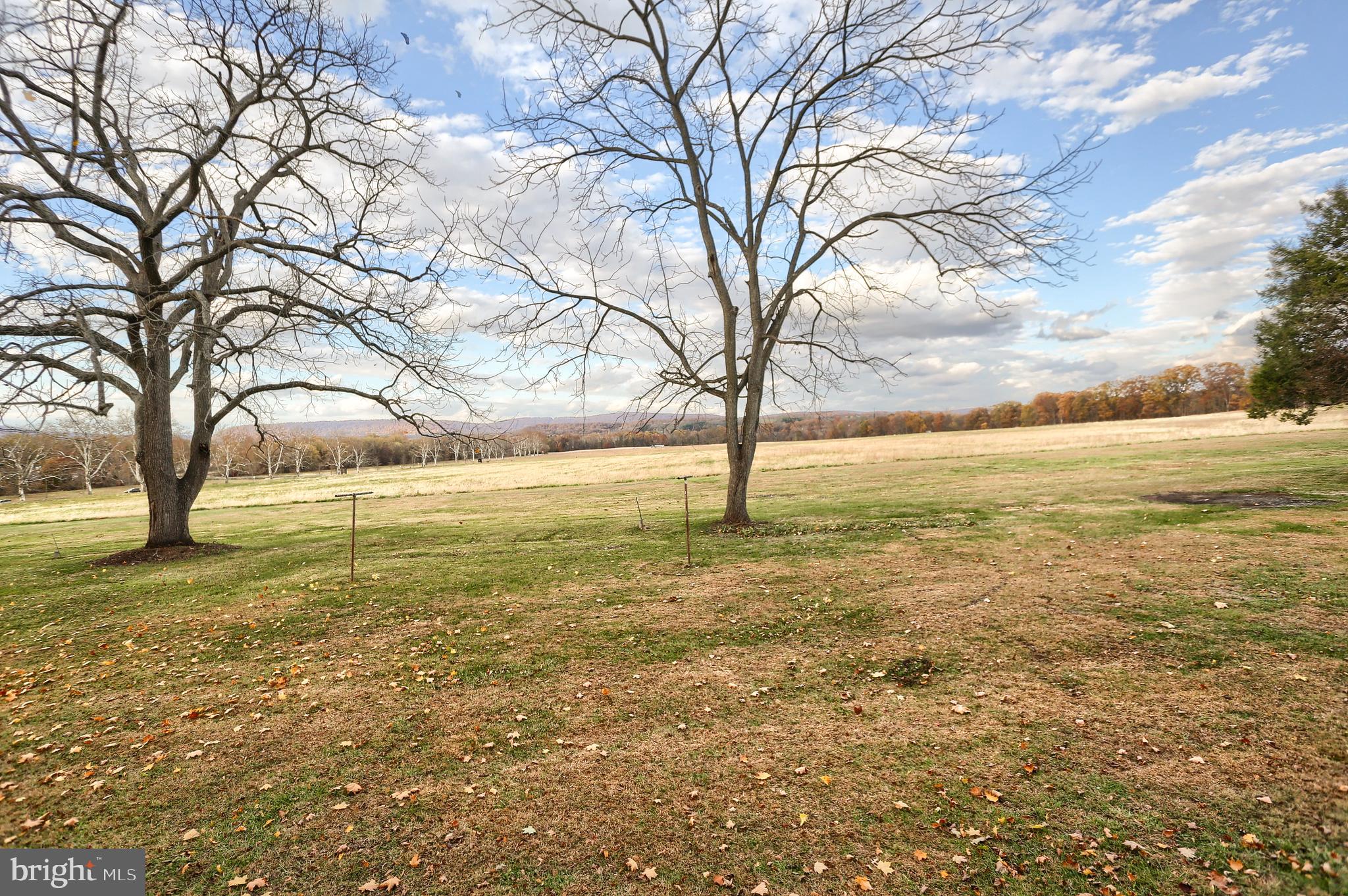 338 Locust Street Halifax, PA 17032 - Photo 33 of 43 a view of an ocean with a large tree
