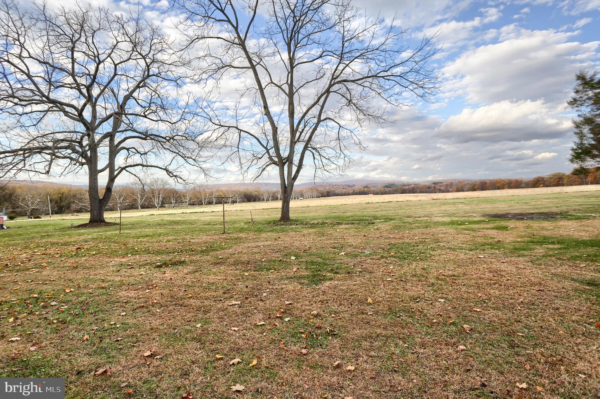 338 Locust Street Halifax, PA 17032 - Photo 40 of 43 a view of yard with large trees