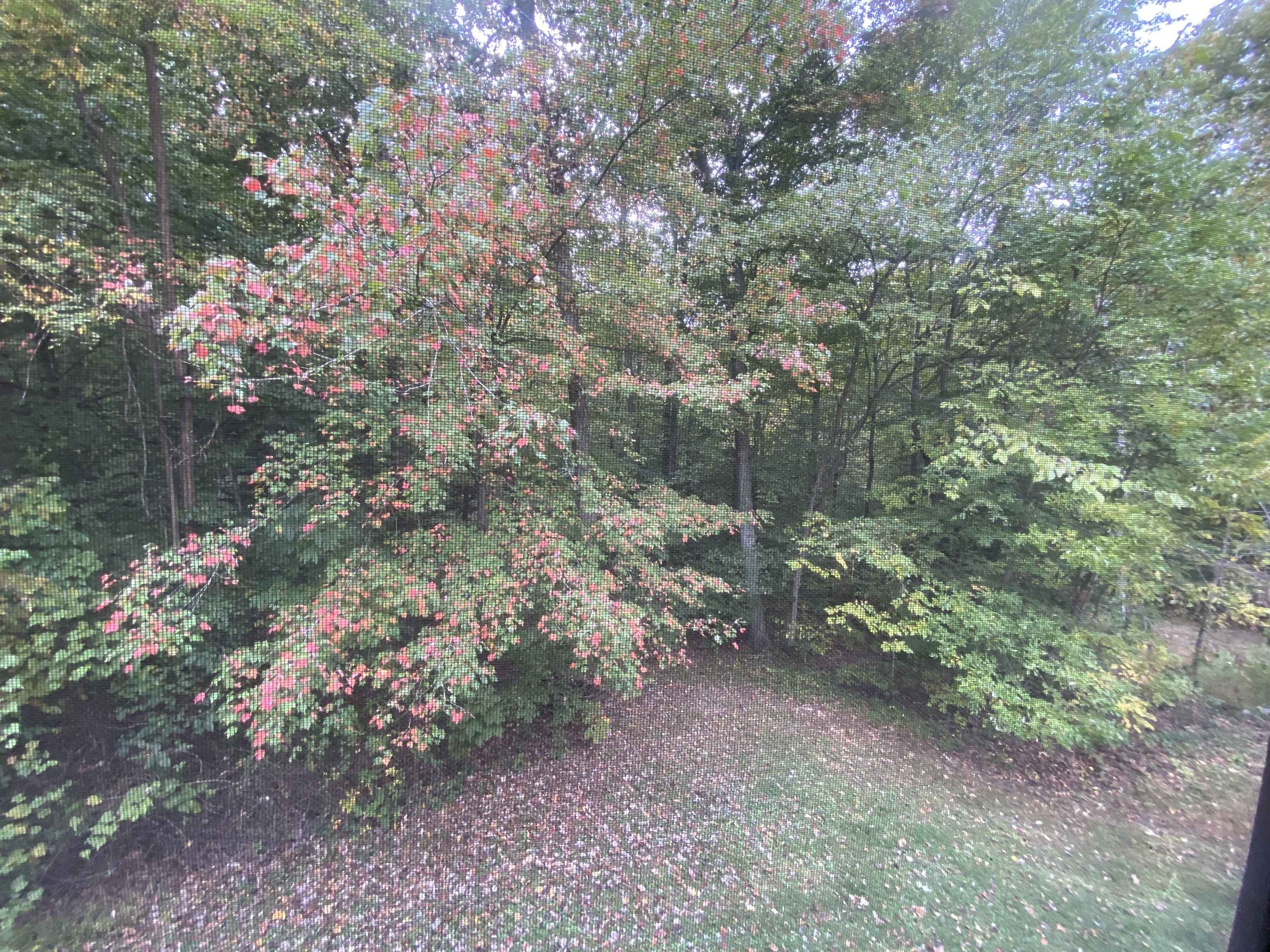4038 Albert Johnson Road Nineveh, IN 46164 - Photo 80 of 80 Gallery Image 80