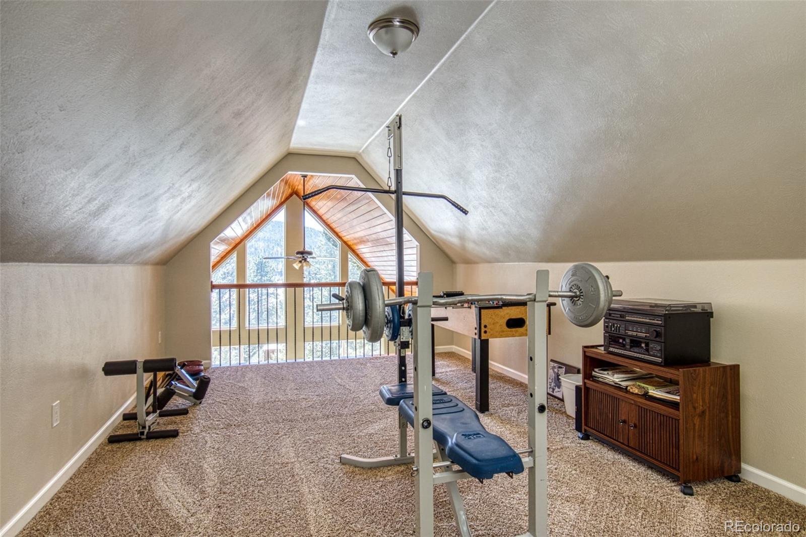 25681 Mosier Circle Conifer, CO 80433 - Photo 25 of 29 a living room with furniture a flat screen tv and a window