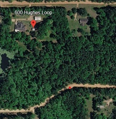 Tbd Sandy Creek Road Willis, TX 77378 - Photo 2 of 5