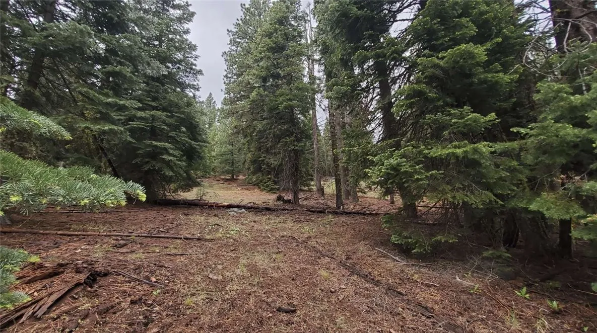 0 Range Alturas, CA 96101 - Photo 27 of 39 Gallery Image 27