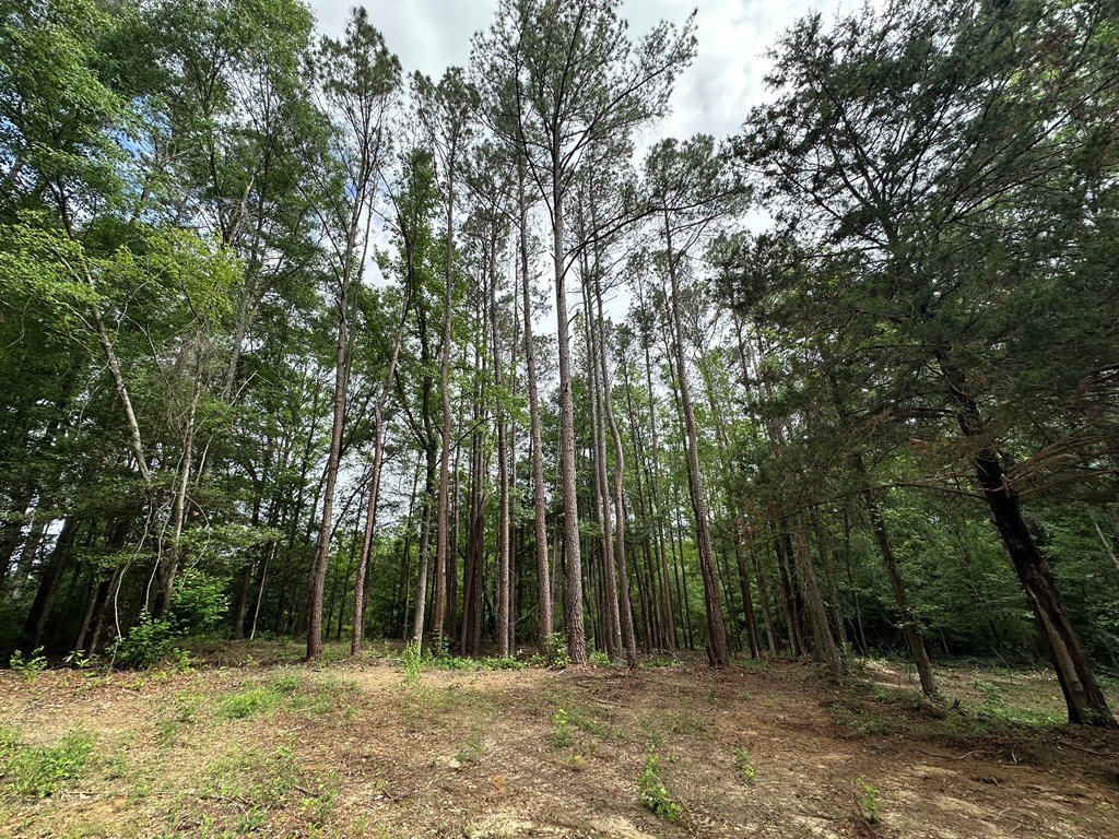 593 Mary McClendon Road Ozark, AL 36360 - Photo 63 of 65