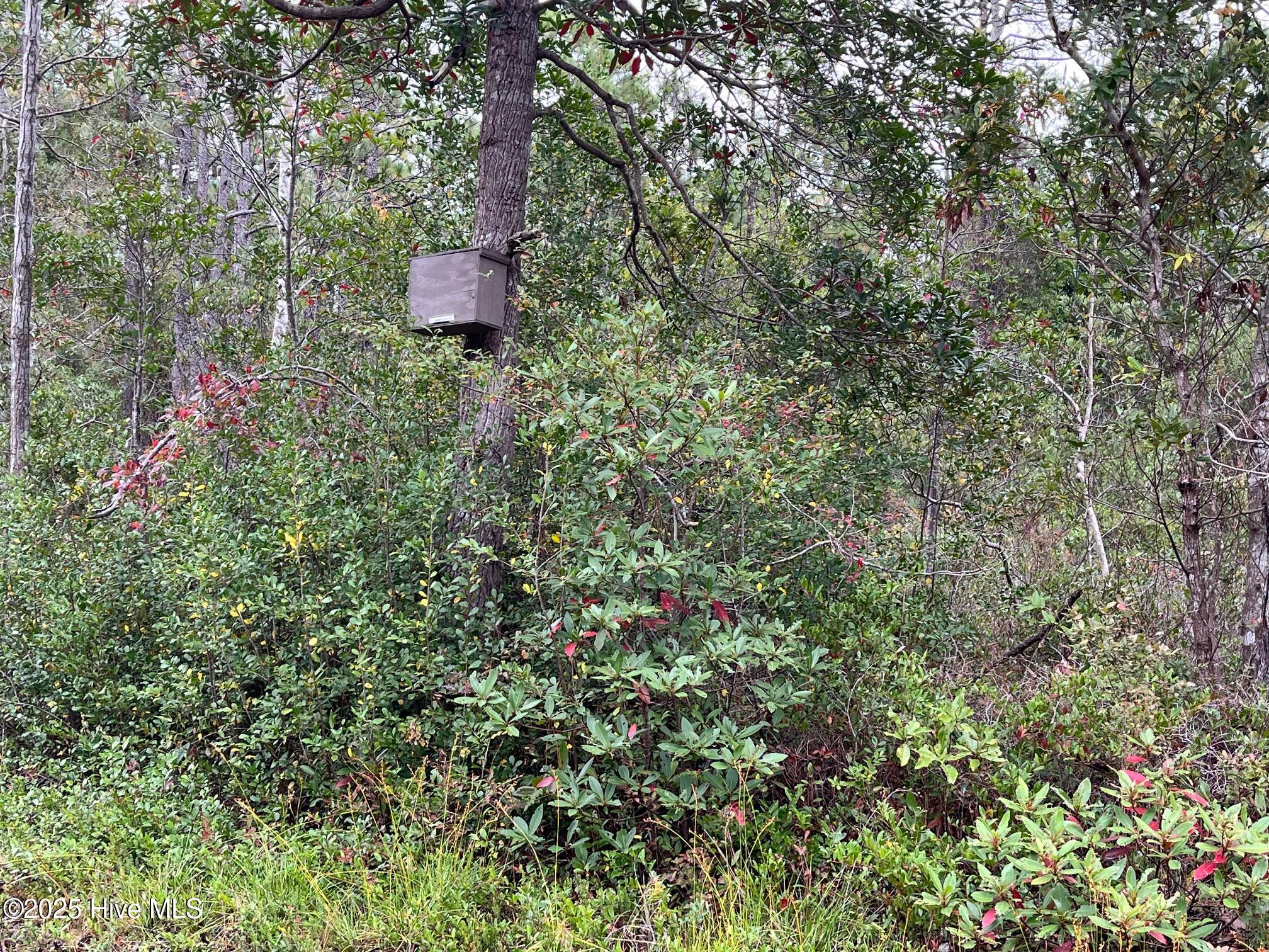 349 Magnolia Road Southport, NC 28461 - Photo 3 of 4 IMG_7703