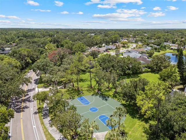 a view of a city with lush green forest