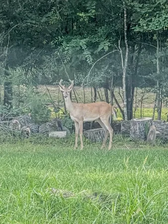 $724,900 | 26615 South Creek Drive, Magnolia, TX 77354