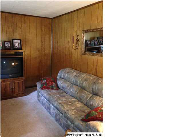 1200 Warrior Jasper Road Warrior, AL 35180 - Photo 11 of 18