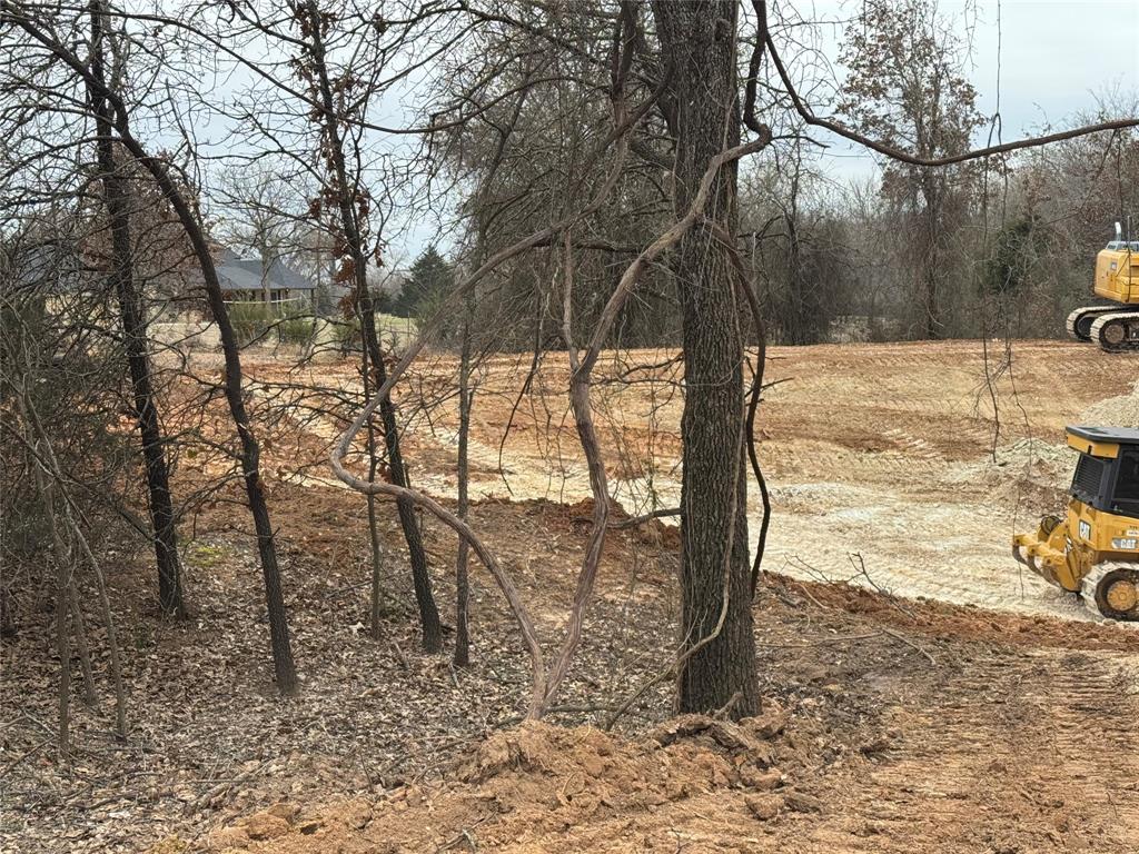 165 County Road 4896 Springtown, TX 76082 - Photo 6 of 12 a view of a yard with trees in the background